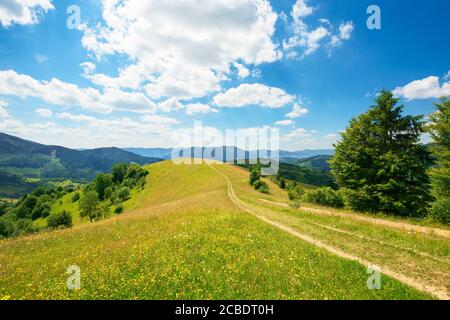 Ländliche Landschaft an einem Sommertag. Feldweg in den Grasfeldern und sanften Hügeln. Flauschige Wolken auf einem blauen Himmel schöne Landschaft von bergigen carpat Stockfoto