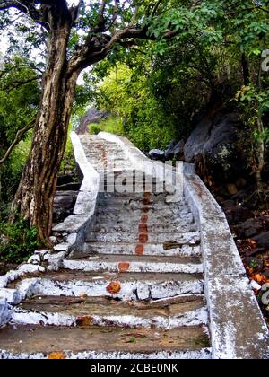 Schritte zu Agasthiyar Falls, Tamil Nadu, ist berühmt für seine Dravidian-Stil hinduistischen Tempel. Ein Land des kulturellen und religiösen Erbes Stockfoto