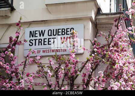 Neues Straßenschild der Quebec Street an der Seite des Gebäudes. London W1, England, Großbritannien Stockfoto