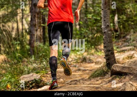 Zurück Mann Läufer in Kompressionssocken laufen Waldsteine Trail Stockfoto