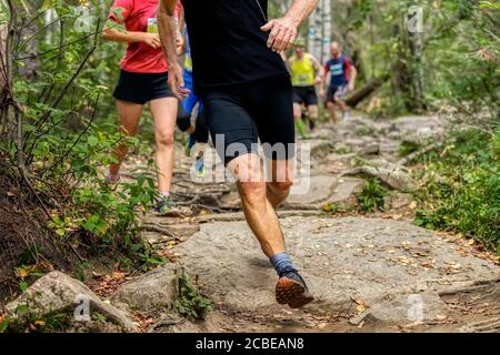 Gruppenläufer Athleten laufen auf Felsen Wald Trail Marathon Stockfoto