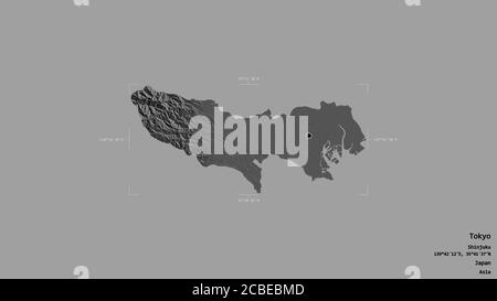 Bereich von Tokyo, Metropole von Japan, isoliert auf einem soliden Hintergrund in einem georeferenzierten Begrenzungsrahmen. Beschriftungen. Höhenkarte mit zwei Ebenen. 3D-Rendering Stockfoto