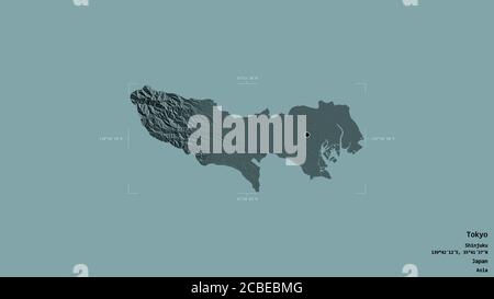 Bereich von Tokyo, Metropole von Japan, isoliert auf einem soliden Hintergrund in einem georeferenzierten Begrenzungsrahmen. Beschriftungen. Farbige Höhenkarte. 3D-Rendering Stockfoto