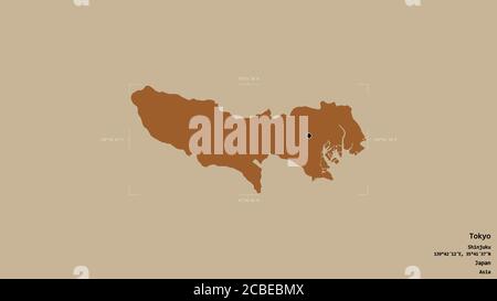 Bereich von Tokyo, Metropole von Japan, isoliert auf einem soliden Hintergrund in einem georeferenzierten Begrenzungsrahmen. Beschriftungen. Komposition von gemusterten Texturen. 3D-Rend Stockfoto