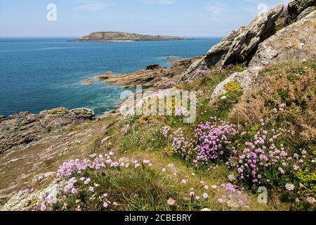 Presqu'île du Perron, Saint-Briac-sur-Mer, Bretagne, Frankreich Stockfoto