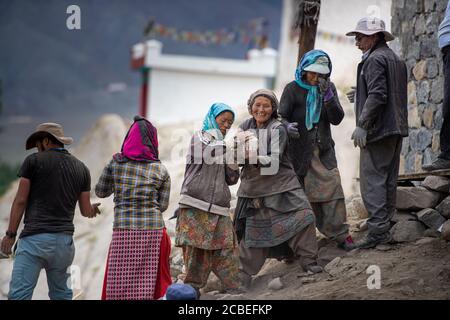 Männer und Frauen bei der Arbeit, in Ladakh Stockfoto