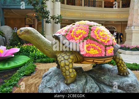 LAS VEGAS, USA - 20. MÄRZ 2018 : Bellagio Conservatory and Botanical Garden, Frühling Display. Schildkröte mit Blumen Kunst. Stockfoto