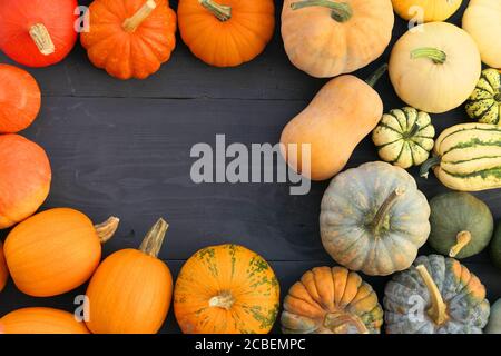 Verschiedene Farben von Kürbissen und Squashes Sorten. Kreative Küche Hintergrund. Stockfoto