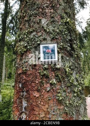 KNIEBIS, DEUTSCHLAND - 20. Jun 2019: Wanderzeichen auf einem Wanderweg im Schwarzwald Stockfoto