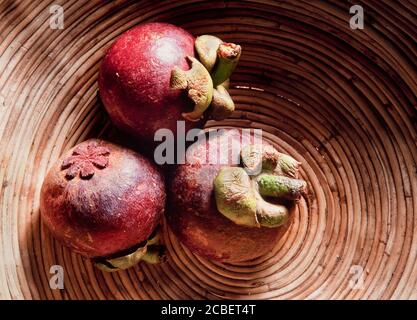 Mangostan Obst, (Manggis) Garcinia Mangostana, Malaysia, Stockfoto