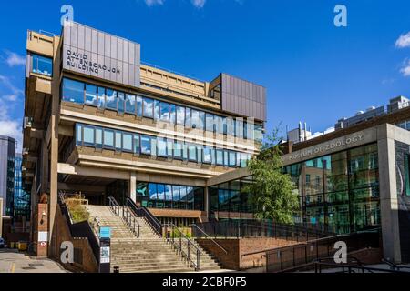 Cambridge University Museum für Zoologie - wiedereröffnet Jun 2018 nach 4 Jahr renoviert werden. Hauptgebäude ist die renovierte David Attenborough Gebäude. Stockfoto