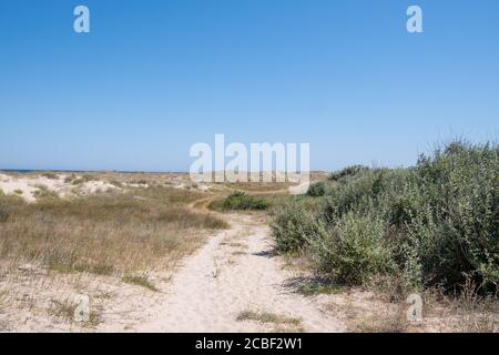 Landschaft Der Straße Biegen Sie In Der Mitte Der White Sand Dunes Stockfoto