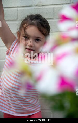 4 Jahre altes weißes Mädchen, in gestreiftem T-Shirt und Armen über dem Kopf, spielt in einem Garten voller rosa und weiß gestreifter Petunia Blumen. Lancashire, England Stockfoto