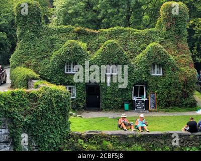 Ein Paar las Zeitungen vor dem TU Hwnt ir Bont Tea Rooms in Llanrwst, Nordwales. Stockfoto