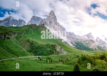Pale di San Martino von Baita Segantini - Passo Rolle italien, Paar besuchen die italienischen Alpen, Blick auf Cimon della Pala, der am besten bekannten Gipfel des Pale Stockfoto