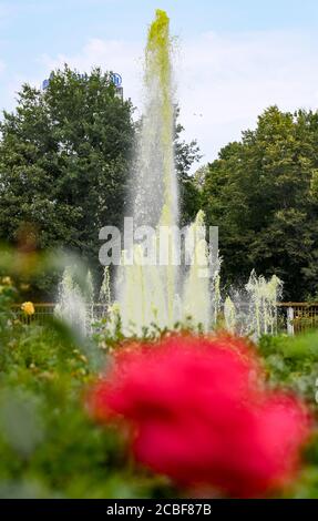 Berlin, Deutschland. August 2020. Das Wasser sprudelt grün aus dem Brunnen im Rosengarten im Treptower Park. Algen, Sedimente, Pollen und Bakterien haben das Wasser unangenehm verfärbt. In den meisten Berliner Springbrunnen ist das Baden ohnehin nicht erlaubt. Quelle: Jens Kalaene/dpa-Zentralbild/dpa/Alamy Live News Stockfoto