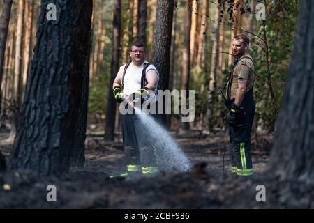 Essel, Deutschland. August 2020. Feuerwehrleute löschen nach einem Waldbrand die Glut. Nach ersten Erkenntnissen wurde das Feuer, das am Mittwochabend ausbrach, durch einen Funken eines Lkws ausgelöst, der dazu führte, dass ein Damm über eine Länge von mehreren hundert Metern in Brand gereichte. Quelle: Philipp Schulze/dpa/Alamy Live News Stockfoto