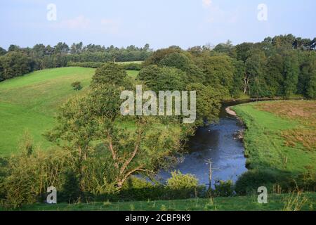 Der Fluss Ribble Tal stromaufwärts von Gisburn Lancashire in gesetzt Schöne hügelige Landschaft Stockfoto