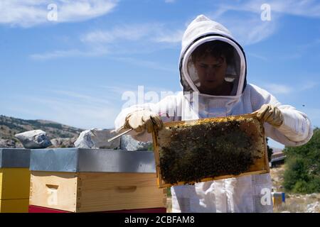 Imker Frau Steuerung Bienenstock und Blick auf Wabe voll Honig an einem sonnigen Tag mit blauem Himmel im Süden Frankreich Stockfoto