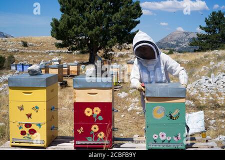 Imkerin Frau Steuerung bunten Bienenstock während eines sonnigen Tages mit Blauer Himmel in südfrankreich Stockfoto