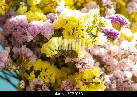 Eine transparente Vase mit frisch geschnittenen wilden bunten Blumen auf grauem Hintergrund. Blumen werden in der Natur gesammelt. Selektiver Fokus. Speicherplatz kopieren. Stockfoto