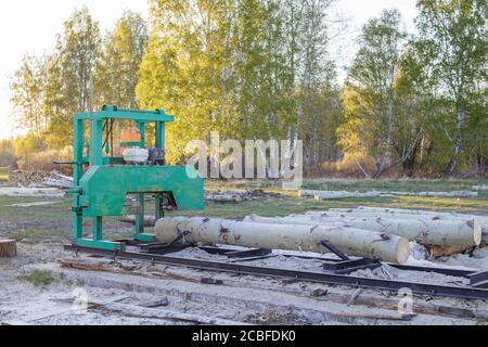 Ein kleines Sägewerk für die Holzverarbeitung auf dem Land. Aspen-Protokolle. Im Hintergrund - der Frühlingswald bei Sonnenuntergang. Stockfoto