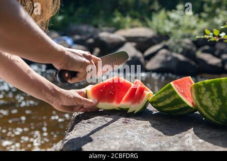 Von hinten aus Frauenhände geschossen, eine saftige, reife Wassermelone in Stücke und Scheiben auf einem Felsen am Bett eines Baches oder Flusses zu schneiden. Stockfoto