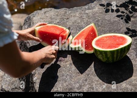 Schuss von hinten von einer Frau, die eine saftige, reife Wassermelone in Stücke und Scheiben auf einem Felsen am Bett eines Baches oder Flusses schneidet. Kanadischer Sommer. Stockfoto