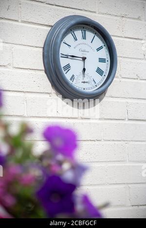 Wanduhr aus Metall, die an der Außenwand eines Gartens hängt, mit einem hängenden Blumenkorb aus violetten Petunien im Vordergrund, Stockfoto