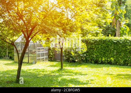 Blur Rasen Garten Garten Garten grünen Park Baum im Freien für die Natur Hintergrund Stockfoto