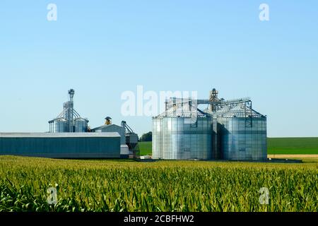 Landwirtschaftliche Silos. Gebäude für die Lagerung und Trocknung von Getreidepflanzen. Moderner Getreideaufzug. Agrarbusiness-Konzept. Stockfoto