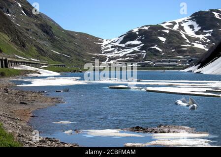 Eisschelfe im See auf dem Oberalppass In der Schweiz Stockfoto