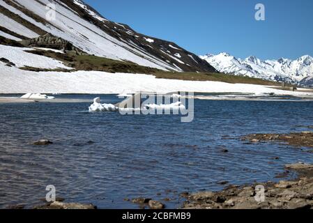 Eisschelfe im See auf dem Oberalppass In der Schweiz Stockfoto