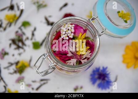 Frische aromatische Heilkräuter in einem Glasbehälter. Stockfoto