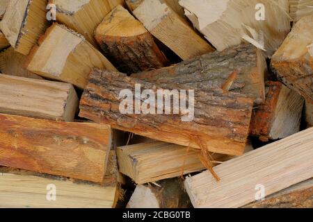 Ein Bündel Brennholz bereit für den Winter. Stockfoto