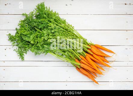 Ein Bündel Karotten auf weißen Holzbrettern. Stockfoto
