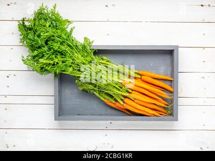 Karotten auf grauem Holztablett auf weißen Holzbrettern. Stockfoto