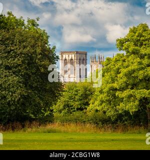 Central Tower of York Minster zwischen Bäumen auf der Heworth Stray, York, Großbritannien. Stockfoto