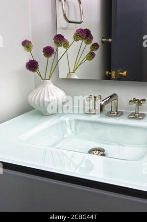 Badezimmer mit Kosmetikbereich, Glasplatte und Waschbecken Stockfoto