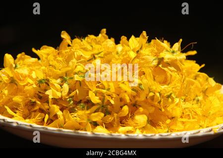 Johanniskraut (Hypericum perforatum) Blüten geerntet Stockfoto