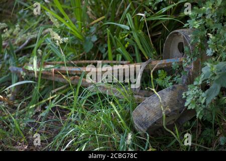 Verrostete alte Gold-Trolley mit Rädern in grasigen Unterholz liegen Stockfoto