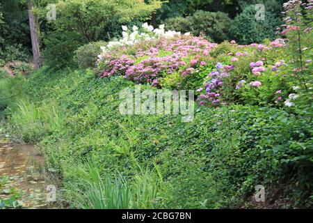 Moyland Castle in DeutschlandWasserschloss Stockfoto