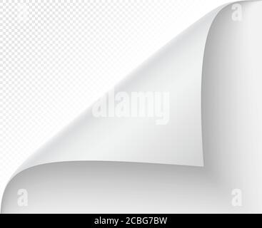 Gewellte Seitenecke. Vektornotiz und Abbiegung Stock Vektor