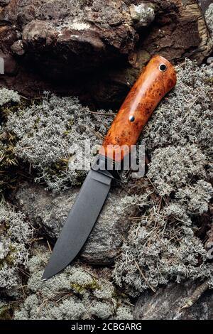 Jäger Messer auf einem Moos im Wald. Die Klinge hat ein schönes Damast-Muster, Griff - titan und Ulme. Draufsicht. Stockfoto