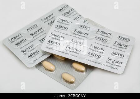 KIEW, UKRAINE - 17. FEBRUAR 2019: Chondroprotector Sogoon Tabletten Blasen von Aristo Pharma Nahaufnahme. Die Aristo Pharma GmbH wurde 2008 in Berlin gegründet Stockfoto