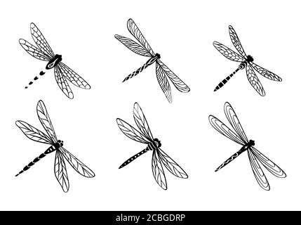 Handgezeichnetes Libellenset. Niedliche dekorative Insekten isoliert auf weißem Hintergrund. Vektorgrafik. Stock Vektor