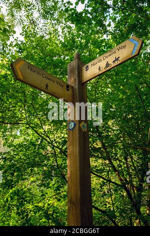 Ein Schild auf dem North Downs Way in der Nähe von Woldingham in Surrey, England, Großbritannien. Die North Downs ist Teil der Surrey Hills Gegend von Outstanding Natural Beauty. Stockfoto