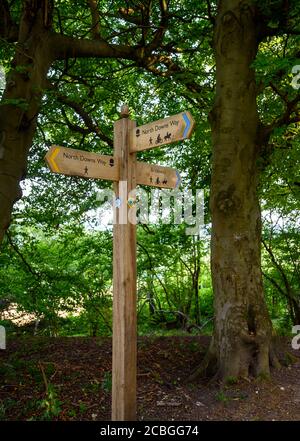 Ein Schild auf dem North Downs Way in der Nähe von Woldingham in Surrey, England, Großbritannien. Die North Downs ist Teil der Surrey Hills Gegend von Outstanding Natural Beauty. Stockfoto