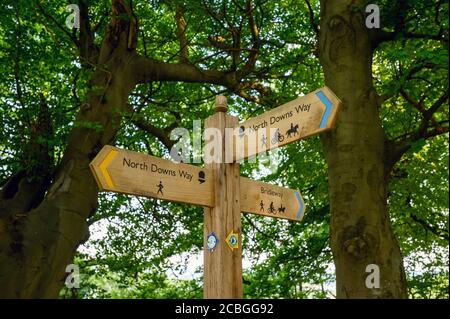 Ein Schild auf dem North Downs Way in der Nähe von Woldingham in Surrey, England, Großbritannien. Die North Downs ist Teil der Surrey Hills Gegend von Outstanding Natural Beauty. Stockfoto