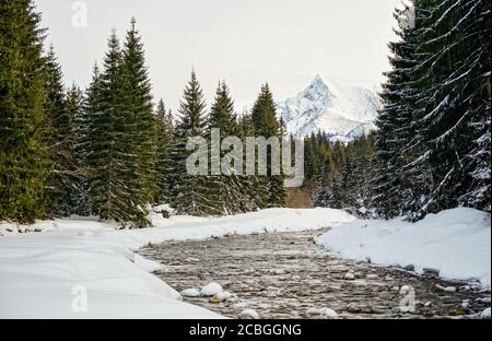 Winter Flusswald, Schnee und Bäume auf beiden Seiten, Berg Krivan (slowakisches Symbol) in der Ferne Stockfoto